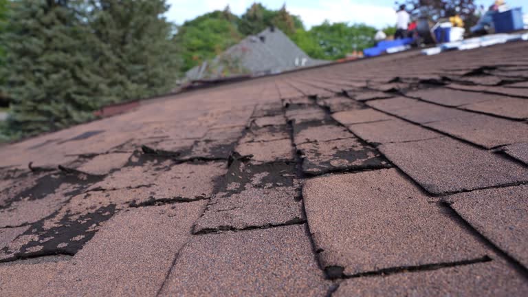 Fast & Reliable Emergency Roof Repairs in Green Tree, PA